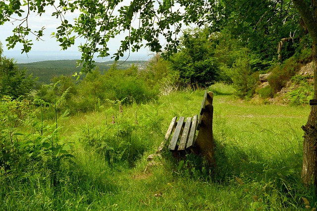 的一部分 的一部分